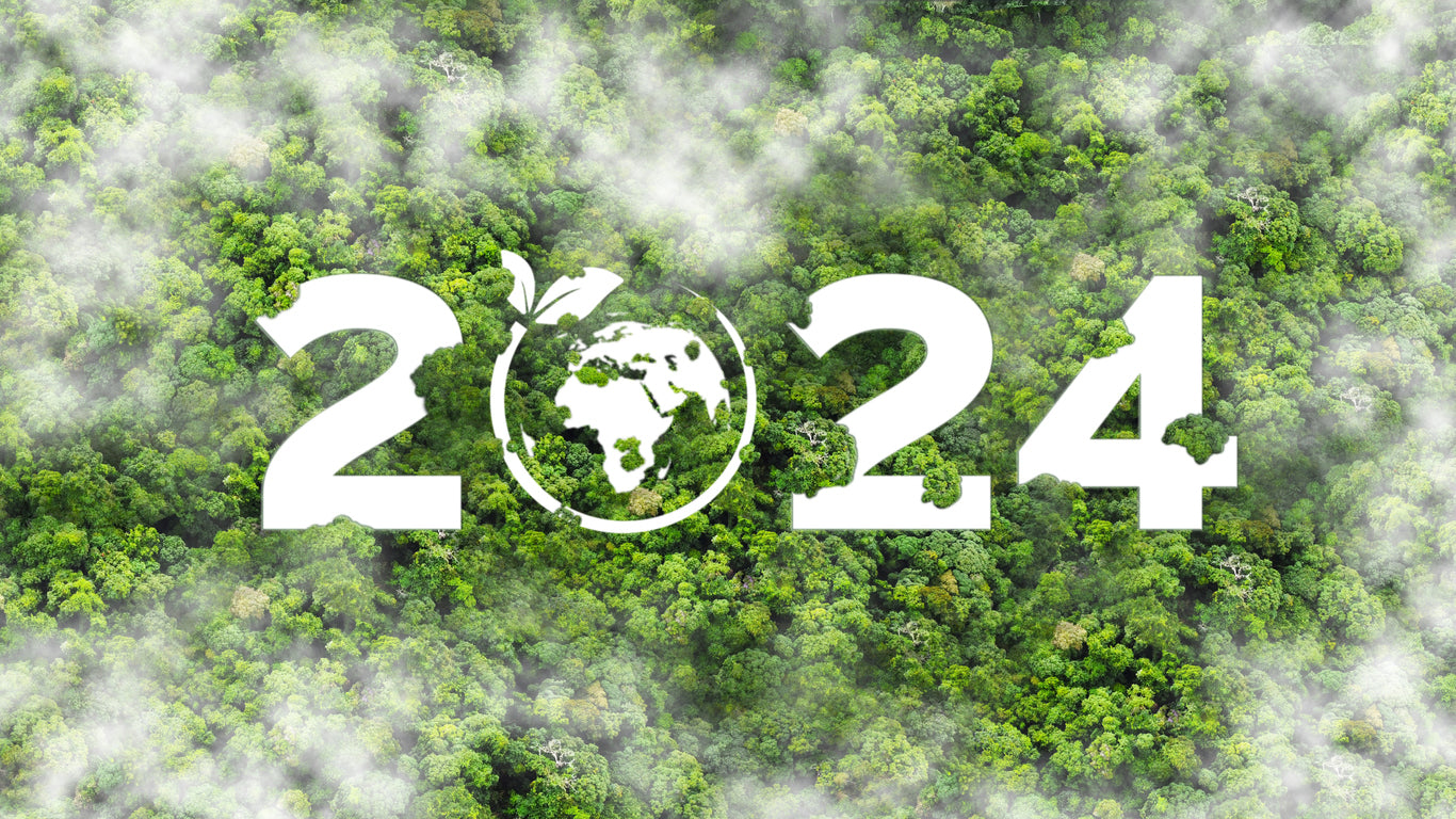 40 Ways to Be More Eco Friendly in 2024