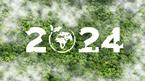 Embrace Sustainability in 2024: Practical Tips for Eco-Friendly Living